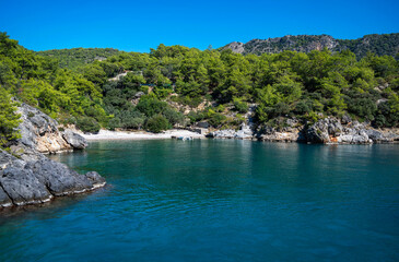 Obraz premium A view of a small, wild beach, cliffs, and pine forest from the Mediterranean Sea. A clear blue sky and bright blue water.