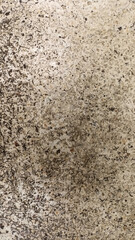 Texture of a very rough wall or floor surface, light brown in color, resembling peeling plaster or stone.
