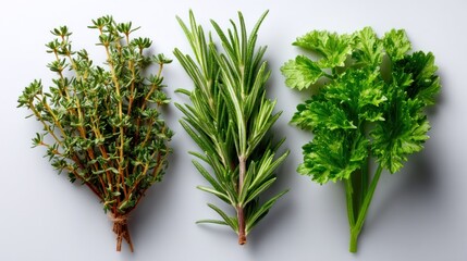 Fresh herbs thyme rosemary parsley culinary white. For herbs, cooking, culinary, organic, fresh ingredients, recipe, kitchen content.	
