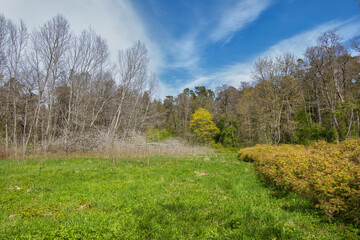 Keila River Park Landscape In Estonia