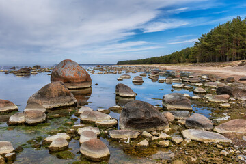 Scenic Baltic Sea Coast In Estonia