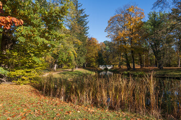 Royal Baths Park Landscape In Warsaw