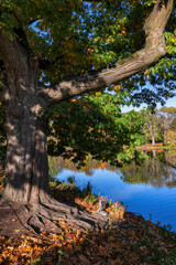 Royal Baths Park Autumn Scenery In Warsaw