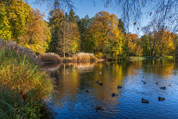 Warsaw Lazienki Royal Baths Park In Autumn