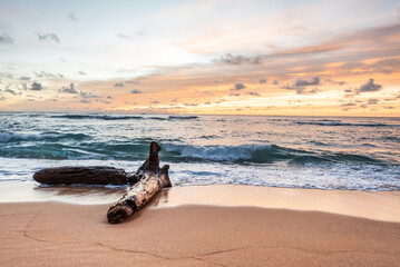 Beautiful orange sunset colors in the sky on the  tropical sandy beach with drift wood log in the foreground