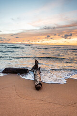 Beautiful orange sunset colors in the sky on the  tropical sandy beach with drift wood log in the foreground