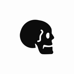 skull radiology icon sign vector