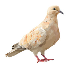 2D flat vector graphic of a Dove in icon style, isolated on white background