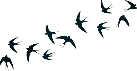 A flock of swallows in silhouette, gracefully flying in formation against a bright, overcast sky, conveying a sense of freedom and migration