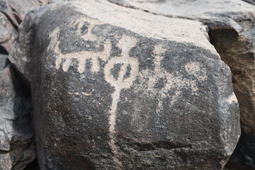 Sonoran Desert Petroglyph