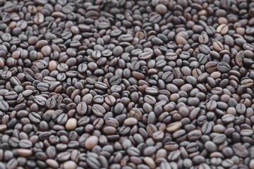 Coffee bean background in detail. Very big amount of brown coffee beans close up