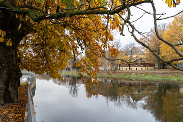 drzewo nad kanałem © Mateusz