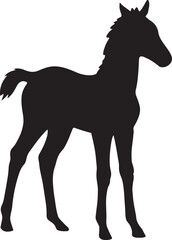Obraz premium silhouette of a foal on isolated transparent background