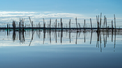 Redes de pesca en la albufera de Valencia