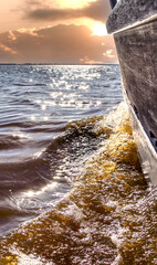 Barca en las aguas de la albufera 