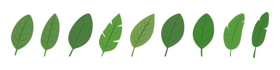Set of tropical leaves. Botanical foliage collection in green tones