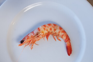 Langostino de sanl&uacute;car de barrameda on white plate
