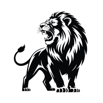 A powerful lion with a majestic mane roars ferociously against a white background.