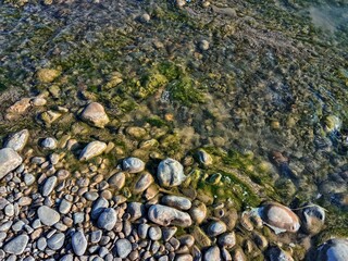 Clear shallow river water flowing over smooth multicolored stones, sunlight creating gentle reflections on the pebbles and natural rocky riverbed.