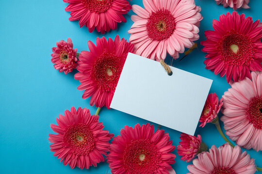 Pink and red flowers surround a blank card on a blue background perfect for a personalized message