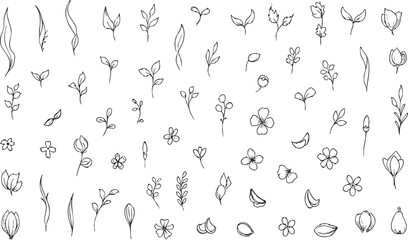 Fototapeta premium Set of hand drawn outline vector doodle abstract floral elements leaves and flowers