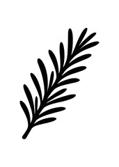 rosemary branch flat black solid vector illustration isolated on white background