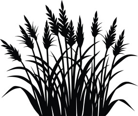 Fototapeta premium Highland Long Grass Silhouette | Long Mountain Highland Grass