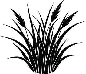 Narrow Leaf Grass Silhouette | Thin Narrow Leaf Grass