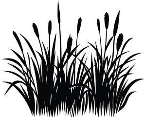Swamp Grass Reeds Silhouette | Marsh Swamp Grass and Reeds