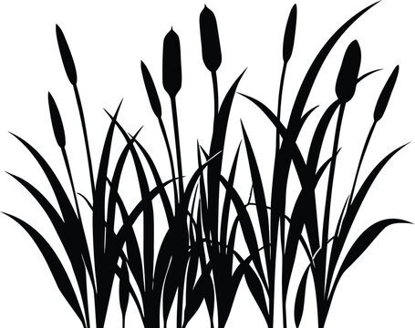 Tall Grass with Cattails Silhouette | Cattails with Tall Grass