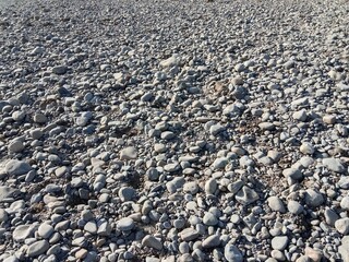 Dry riverbed covered with smooth grey pebbles and rounded stones of different sizes creating a natural rocky texture in bright sunlight.