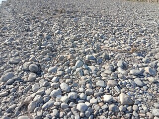 Dry riverbed covered with smooth grey pebbles and rounded stones of different sizes creating a natural rocky texture in bright sunlight.