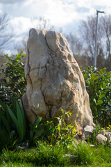 Garden decoration. A large stone in a green garden