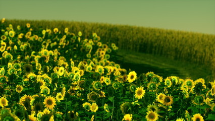 Bright sunflowers cover the rolling landscape, creating a vibrant field. As the sun sets, the warm light casts a glow, illuminating the cheerful blooms and enhancing the serene atmosphere.
