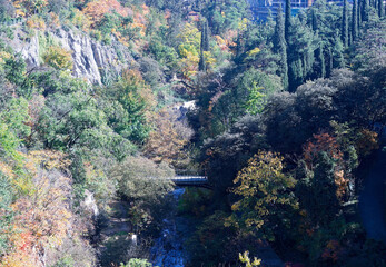 Autumn landscape in National Botanical Garden of Georgia.