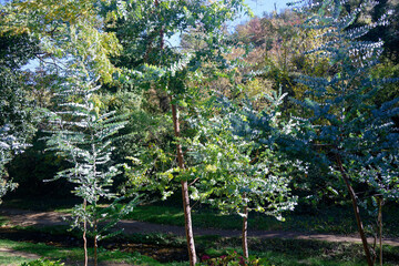 Autumn landscape in National Botanical Garden of Georgia.