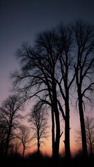 Winter Tree Silhouettes at Sunset &ndash; Minimal Nature Landscape