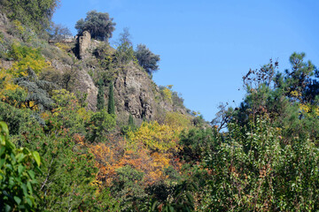 Autumn landscape in National Botanical Garden of Georgia.