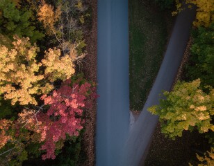Autumn Forest Road From Above With Vibrant Red and Orange Foliage