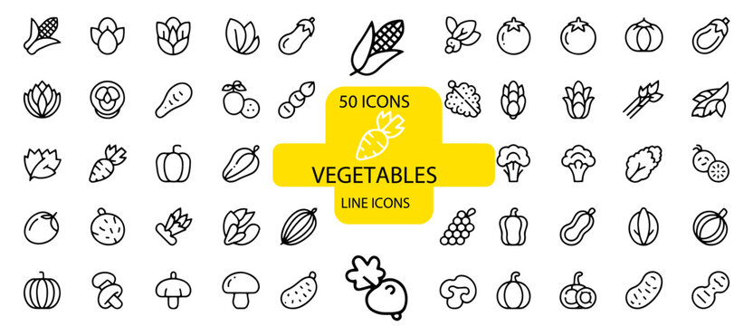 Set of vegetable line icons minimalist vector design elements for food related projects isolated on white background