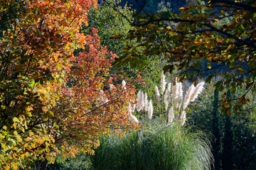 Autumn landscape in National Botanical Garden of Georgia.