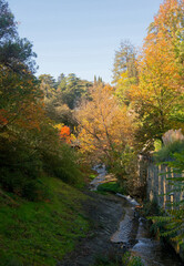National Botanical Garden of Georgia.