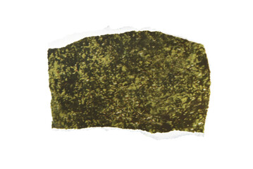 Torn piece of old magazine page with green blur pattern,paper scrap for collage isolated on transparent background.