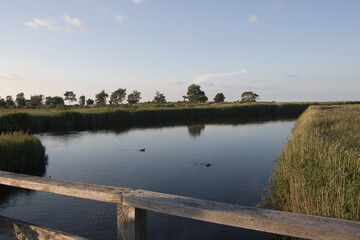 Blick auf den Sehlendorfer Binnensee von einem Holzsteg - Natur- und Vogelschutzgebiet - Holstein