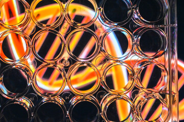 In a modern biological laboratory.