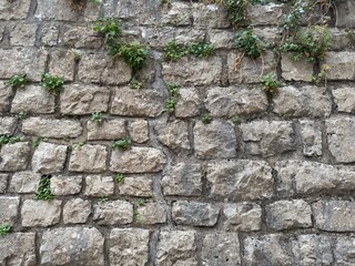 Climbing ivy plant on rustic old stone wall with natural textured surface.Concept of outdoor garden design.vintage architecture, green decor elements for eco-friendly living spaces.beautiful wallpaper