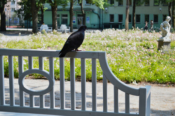 Historic Garden with Red Roses and Stone Statue. A picturesque view of a lush, formal garden featuring vibrant red roses and manicured green hedges, set against an old stone wall. 