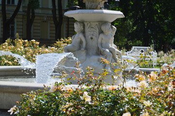 Fountain Among Blooming Roses. A decorative stone fountain with sculpted cherub-like figures pours clear streams of water into a circular basin, surrounded by blooming roses and greenery