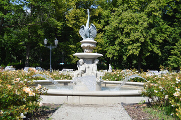 Fountain Among Blooming Roses. A decorative stone fountain with sculpted cherub-like figures pours clear streams of water into a circular basin, surrounded by blooming roses and greenery