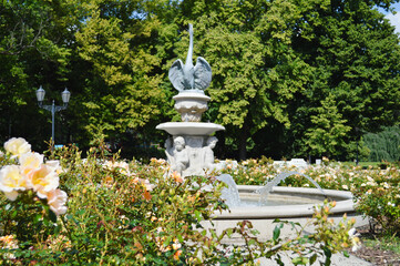 Fountain Among Blooming Roses. A decorative stone fountain with sculpted cherub-like figures pours clear streams of water into a circular basin, surrounded by blooming roses and greenery